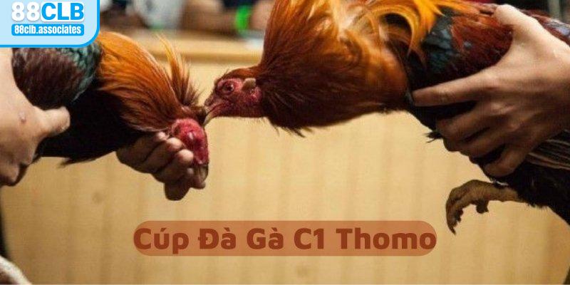 Sự kiện đá gà Thomo Cup C1 không thể bỏ qua tại 88CLB