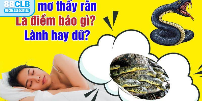 Nằm mơ thấy rắn cắn đánh số gì là điềm tốt hay xấu?